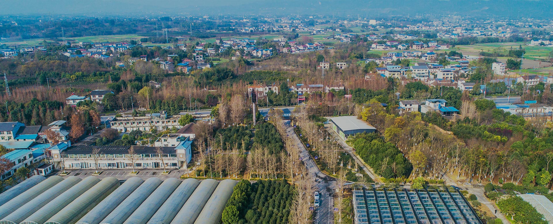 蔬菜品種育苗、示范推廣、基地種植、農(nóng)產(chǎn)品生產(chǎn)、加工 、銷(xiāo)售